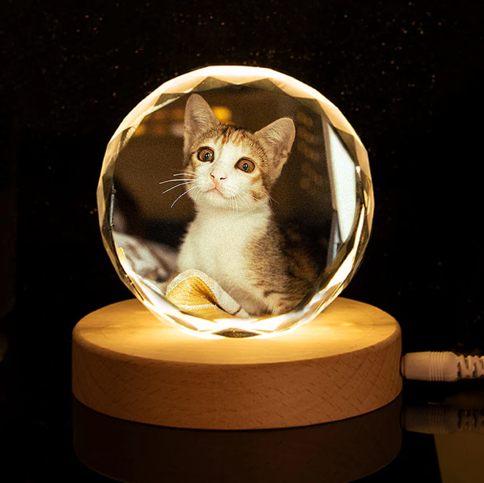 Custom Pet Photo Globe