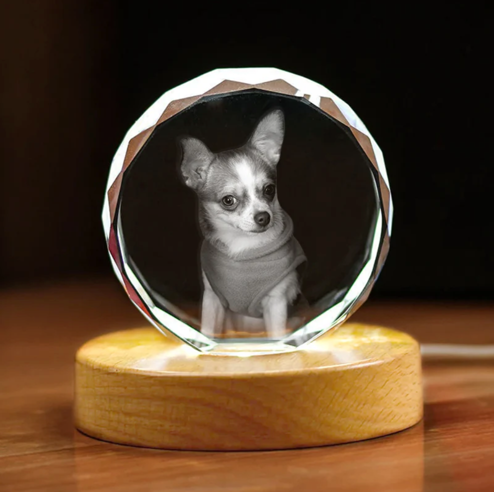 Custom Pet Photo Globe