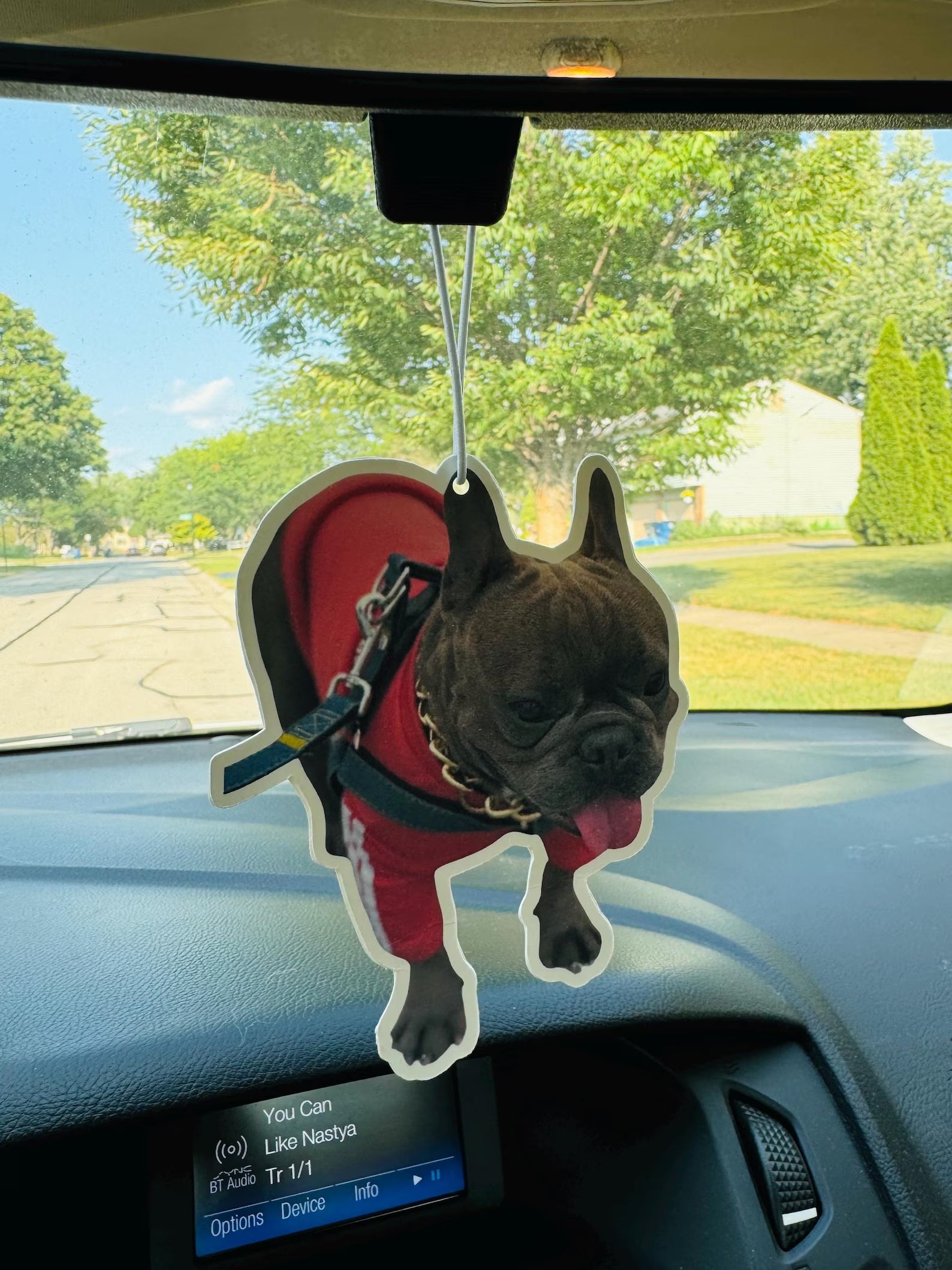 Custom Photo Car Air Freshener